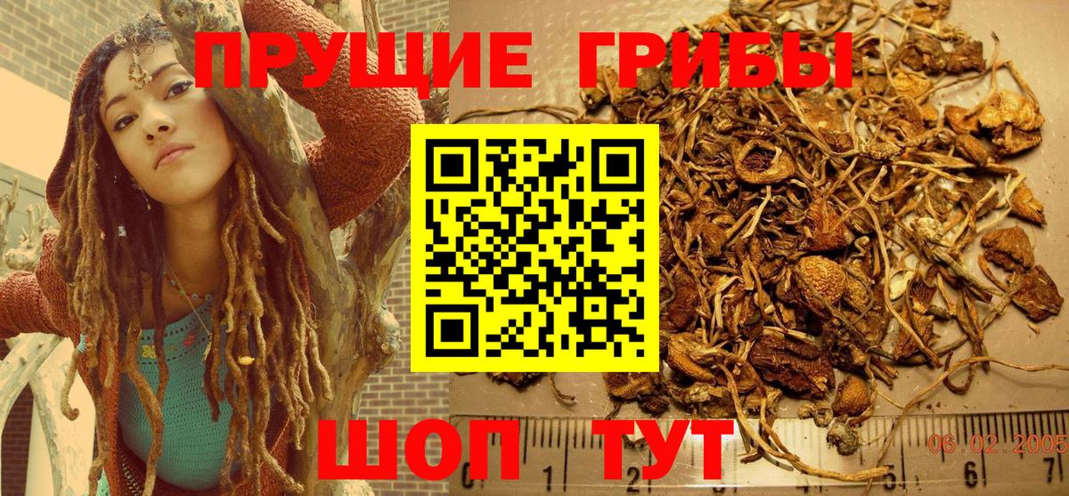 Галлюциногенные грибы MAGIC MUSHROOMS  Псилоцибиновые грибы Cubensis  Вход с VPN  Гулькевичи 
